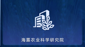 CA88ũҵ��ѧ����Ժ