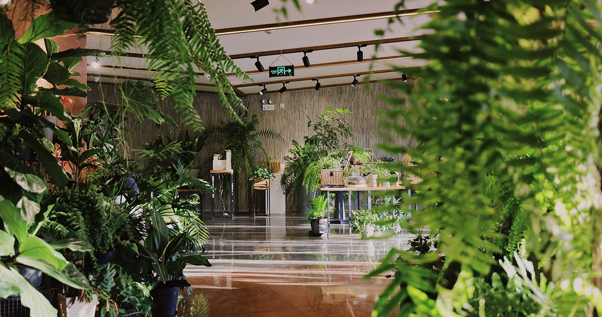 腾博会官网奥莱·滇池小镇