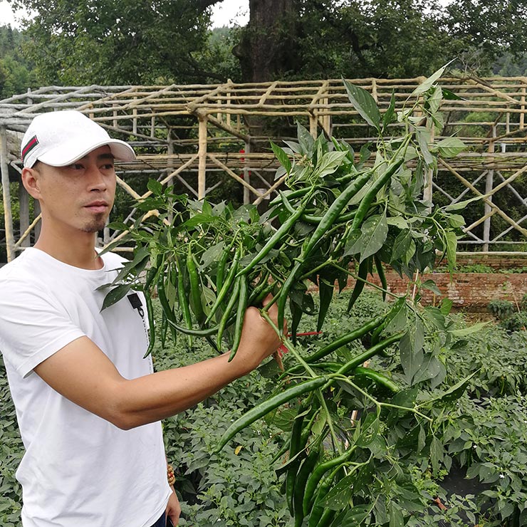 ��ҳ| CA88�����й�Ψһ�ٷ���վ