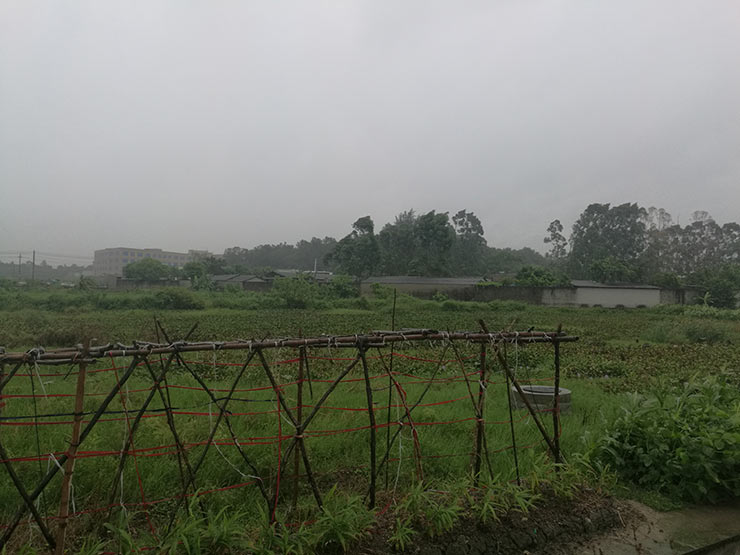 ��ҳ| CA88�����й�Ψһ�ٷ���վ