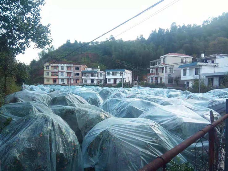 ��ҳ| CA88�����й�Ψһ�ٷ���վ