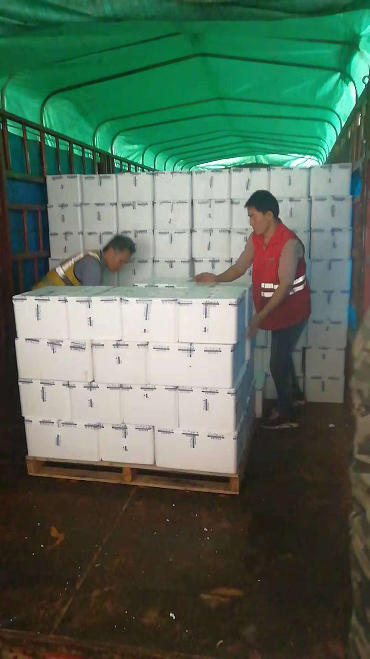 ��ҳ| CA88�����й�Ψһ�ٷ���վ