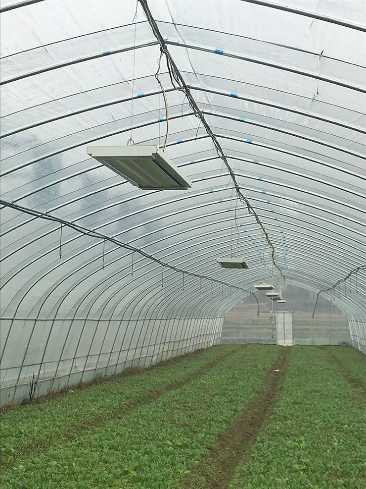 ��ҳ| CA88�����й�Ψһ�ٷ���վ