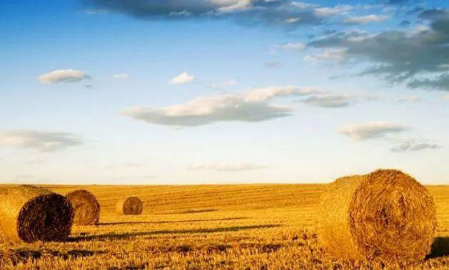 ��ҳ| CA88�����й�Ψһ�ٷ���վ