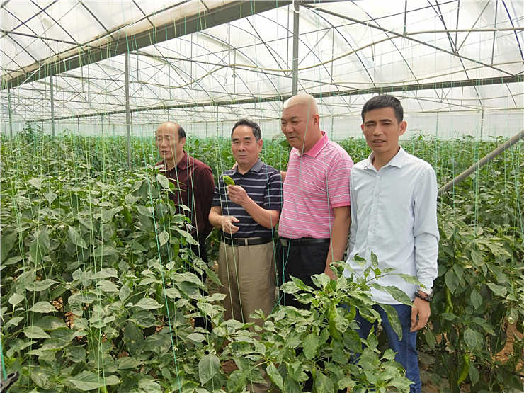 ��ҳ| CA88�����й�Ψһ�ٷ���վ