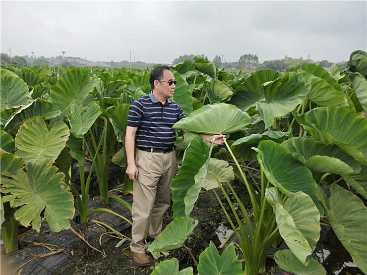 ��ҳ| CA88�����й�Ψһ�ٷ���վ