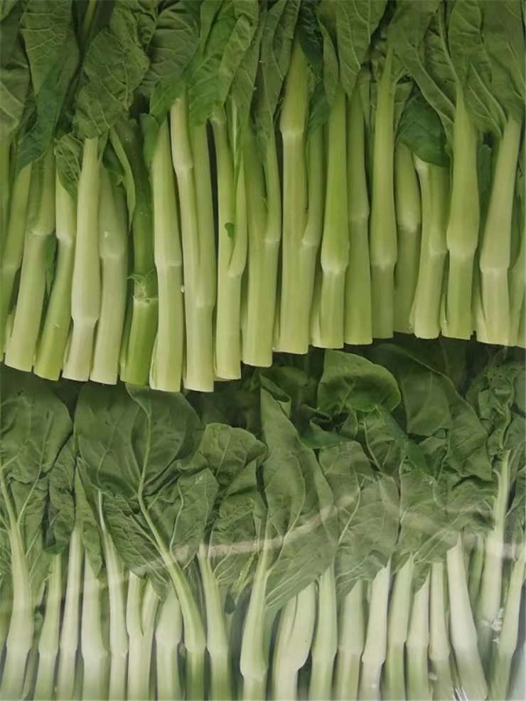 ��ҳ| CA88�����й�Ψһ�ٷ���վ