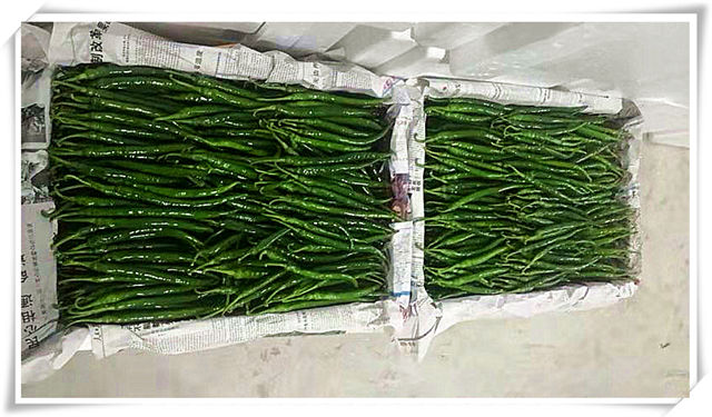 ��ҳ| CA88�����й�Ψһ�ٷ���վ