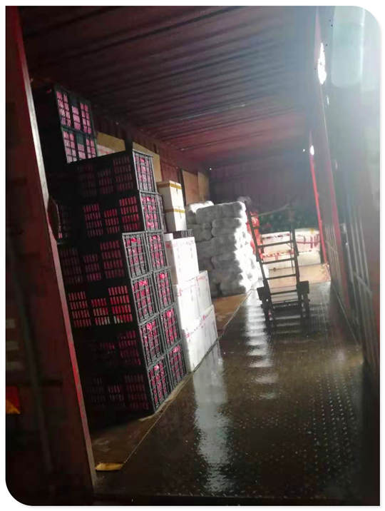 ��ҳ| CA88�����й�Ψһ�ٷ���վ