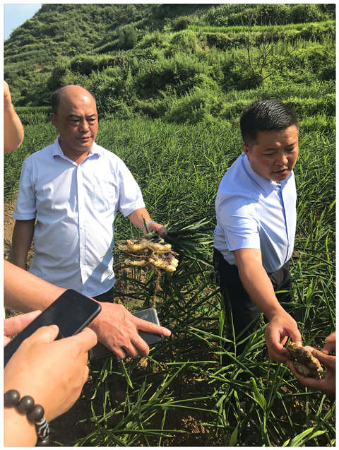 ��ҳ| CA88�����й�Ψһ�ٷ���վ