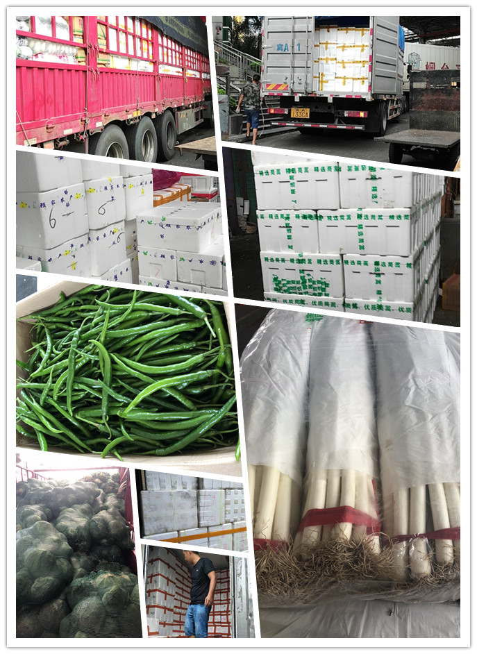 ��ҳ| CA88�����й�Ψһ�ٷ���վ