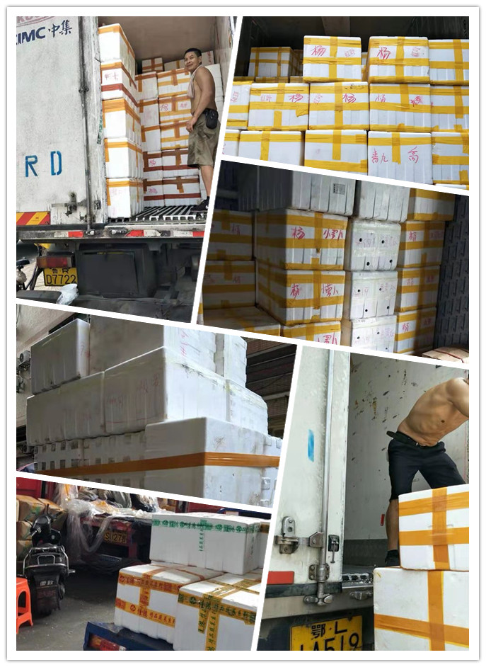 ��ҳ| CA88�����й�Ψһ�ٷ���վ