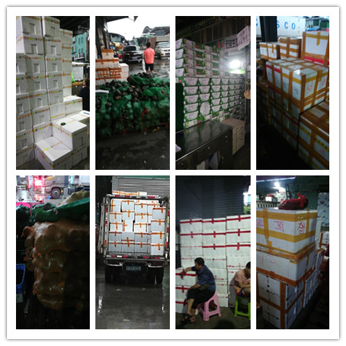 ��ҳ| CA88�����й�Ψһ�ٷ���վ