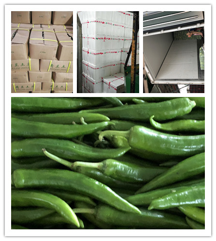 ��ҳ| CA88�����й�Ψһ�ٷ���վ