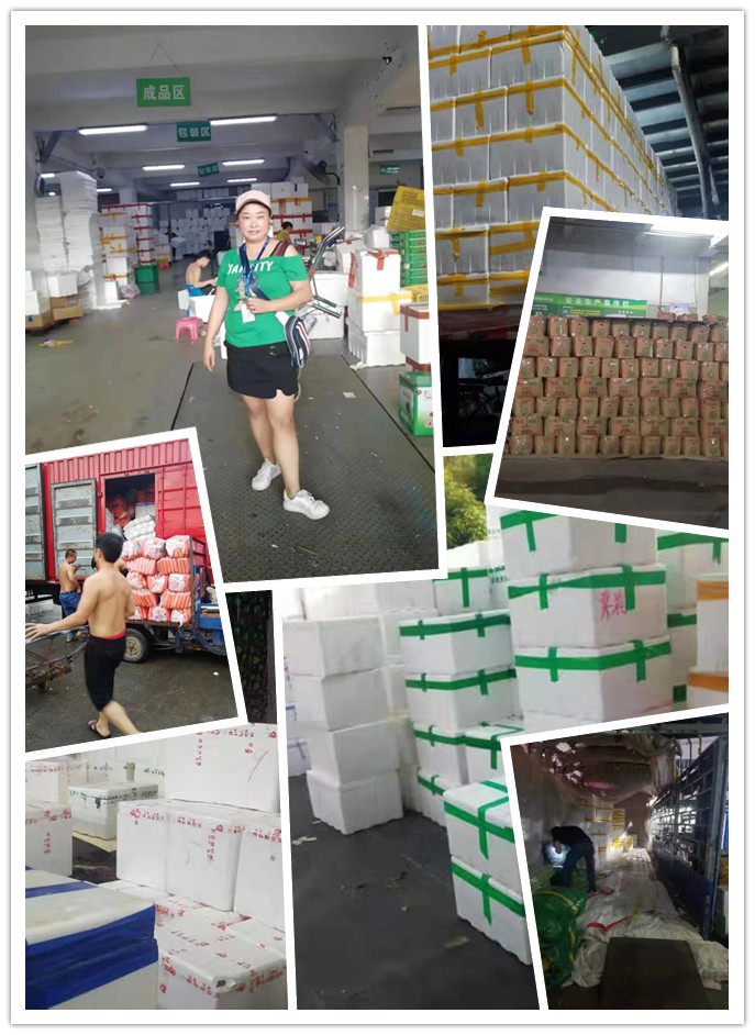 ��ҳ| CA88�����й�Ψһ�ٷ���վ