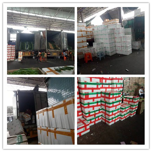 ��ҳ| CA88�����й�Ψһ�ٷ���վ