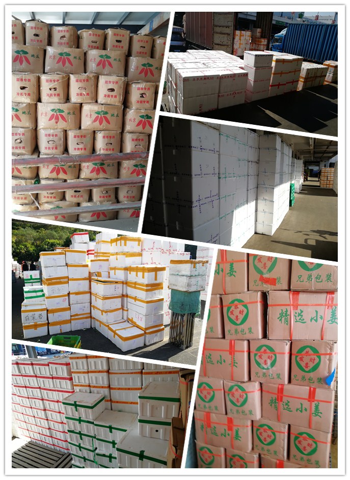 ��ҳ| CA88�����й�Ψһ�ٷ���վ