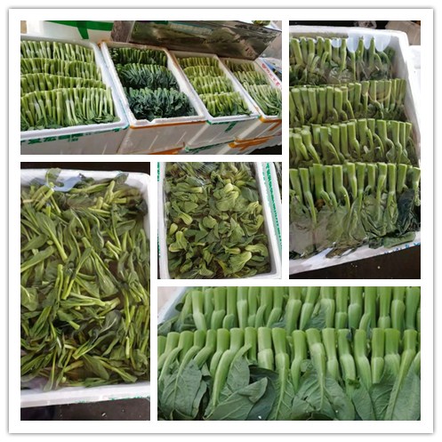 ��ҳ| CA88�����й�Ψһ�ٷ���վ