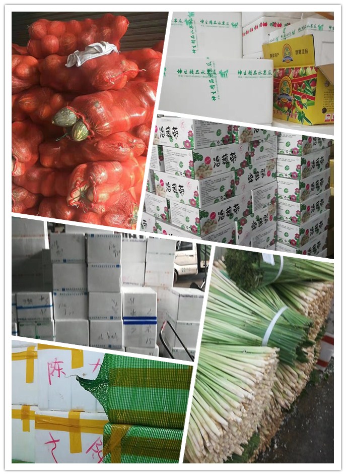 ��ҳ| CA88�����й�Ψһ�ٷ���վ