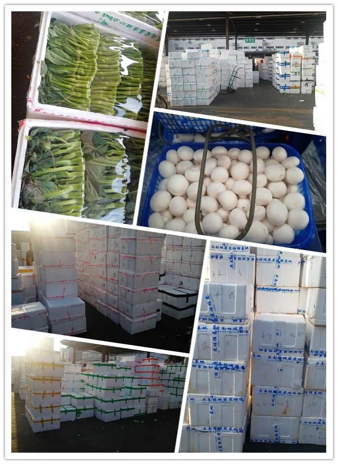 ��ҳ| CA88�����й�Ψһ�ٷ���վ