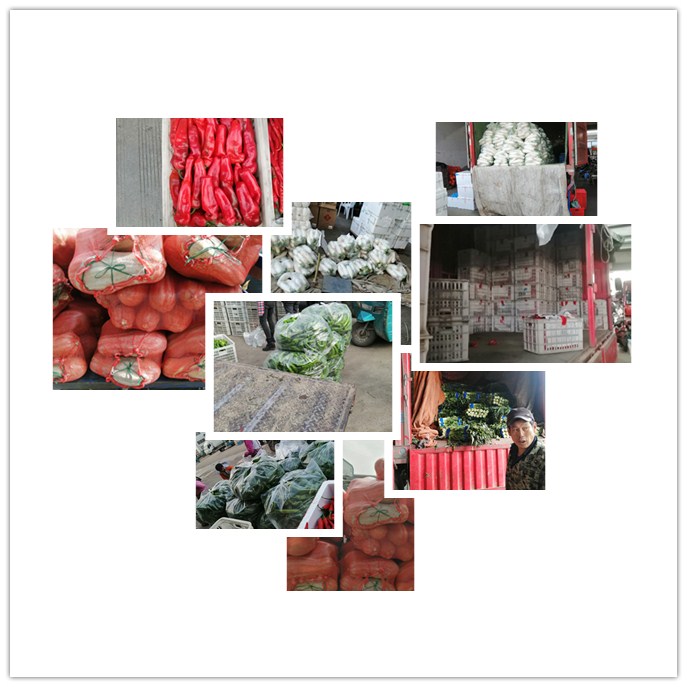 ��ҳ| CA88�����й�Ψһ�ٷ���վ