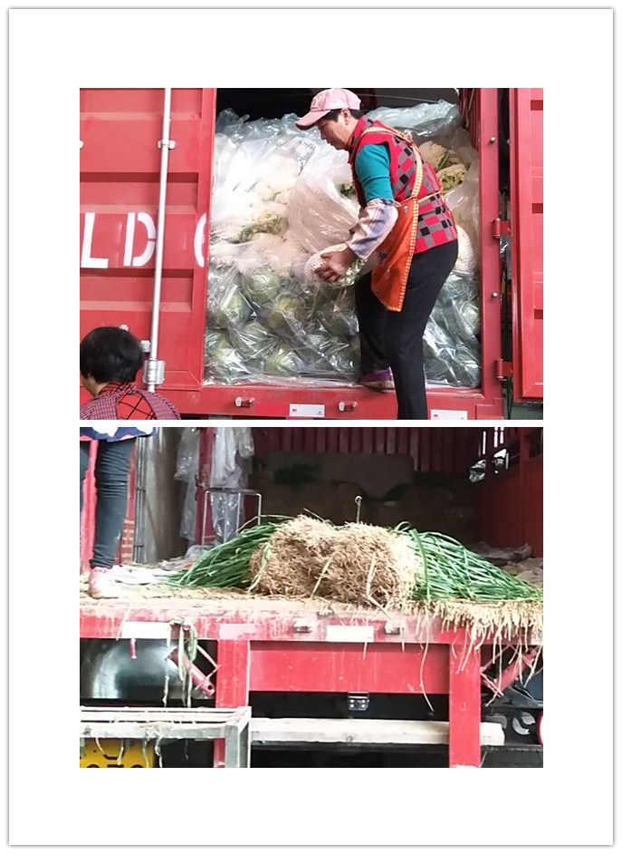 ��ҳ| CA88�����й�Ψһ�ٷ���վ