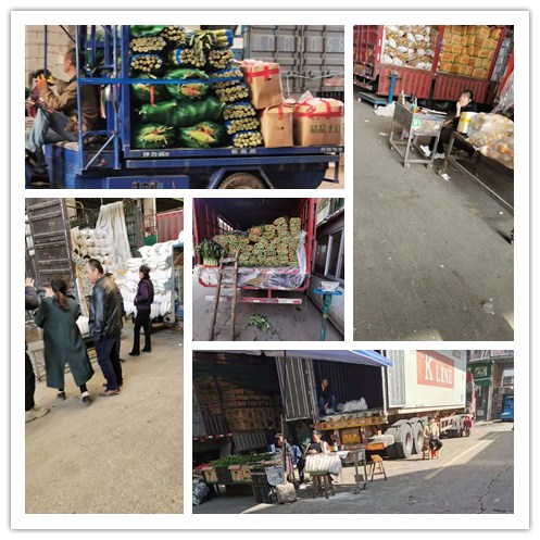 ��ҳ| CA88�����й�Ψһ�ٷ���վ