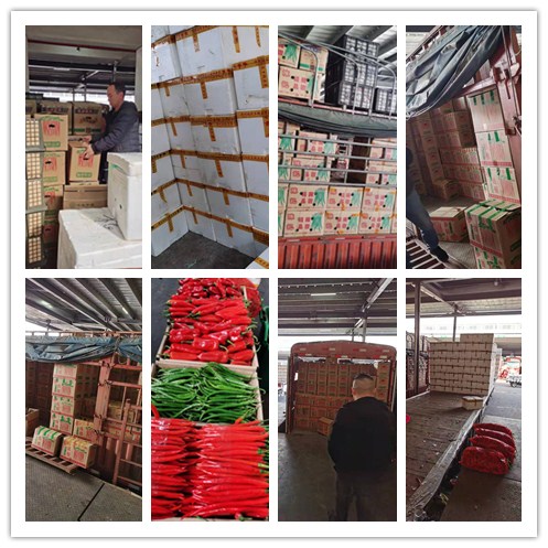 ��ҳ| CA88�����й�Ψһ�ٷ���վ