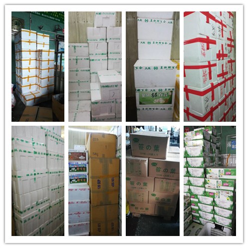 ��ҳ| CA88�����й�Ψһ�ٷ���վ