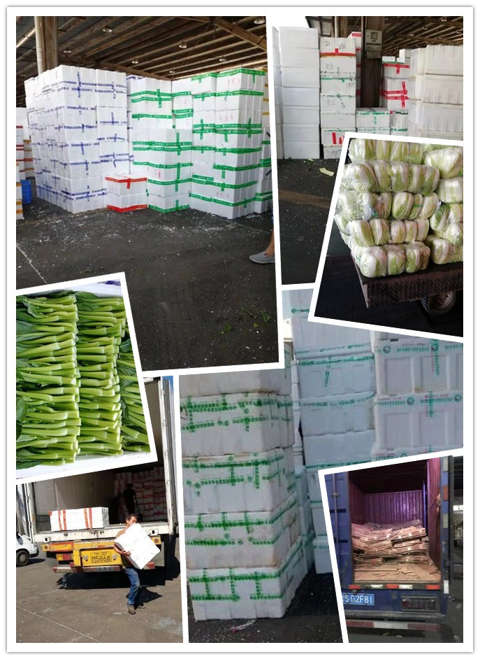 ��ҳ| CA88�����й�Ψһ�ٷ���վ