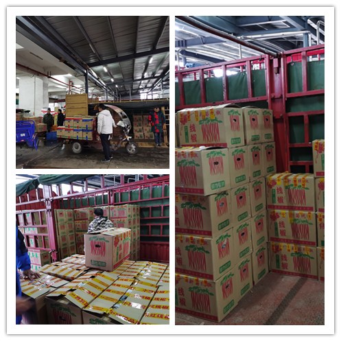 ��ҳ| CA88�����й�Ψһ�ٷ���վ