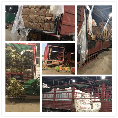 ��ҳ| CA88�����й�Ψһ�ٷ���վ