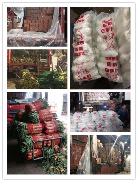 ��ҳ| CA88�����й�Ψһ�ٷ���վ