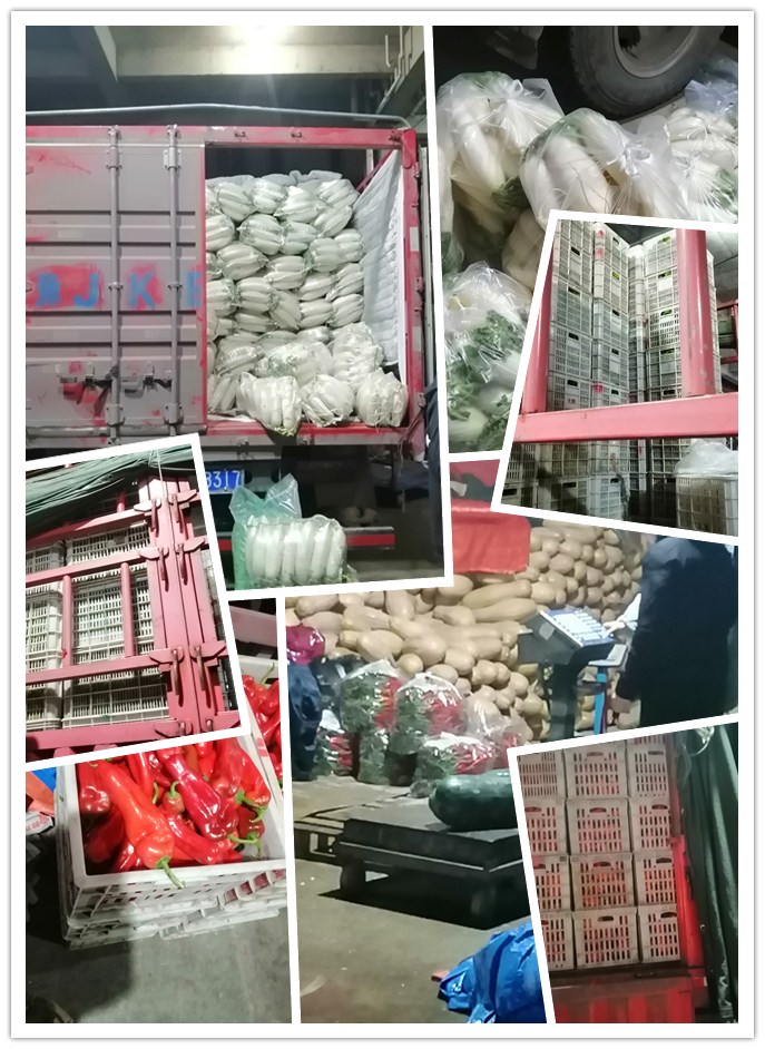 ��ҳ| CA88�����й�Ψһ�ٷ���վ