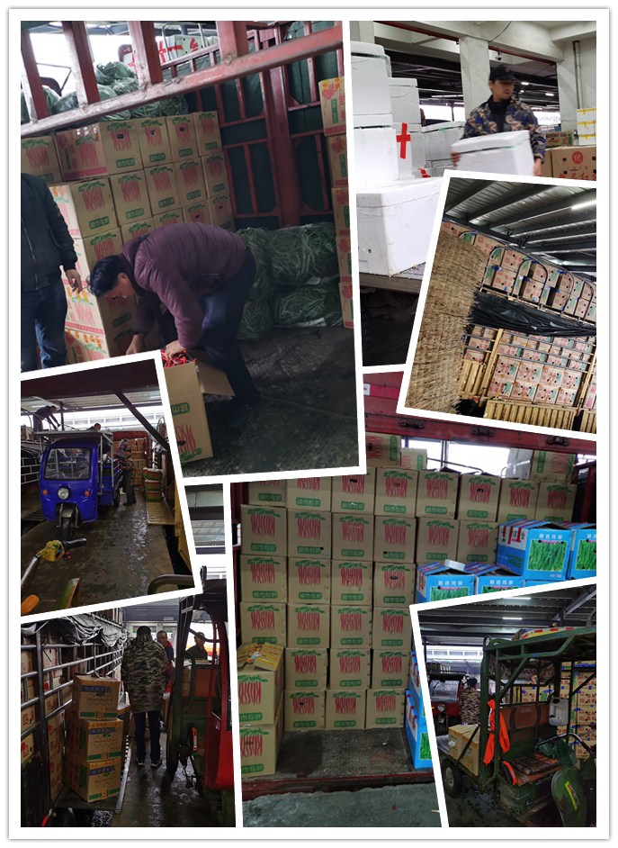 ��ҳ| CA88�����й�Ψһ�ٷ���վ