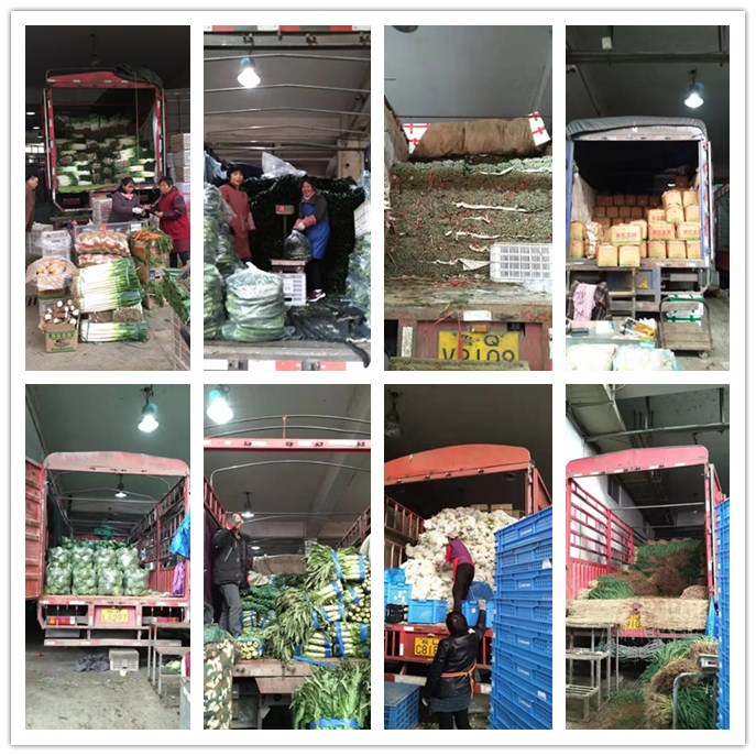 ��ҳ| CA88�����й�Ψһ�ٷ���վ