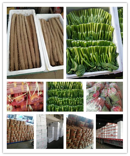 ��ҳ| CA88�����й�Ψһ�ٷ���վ