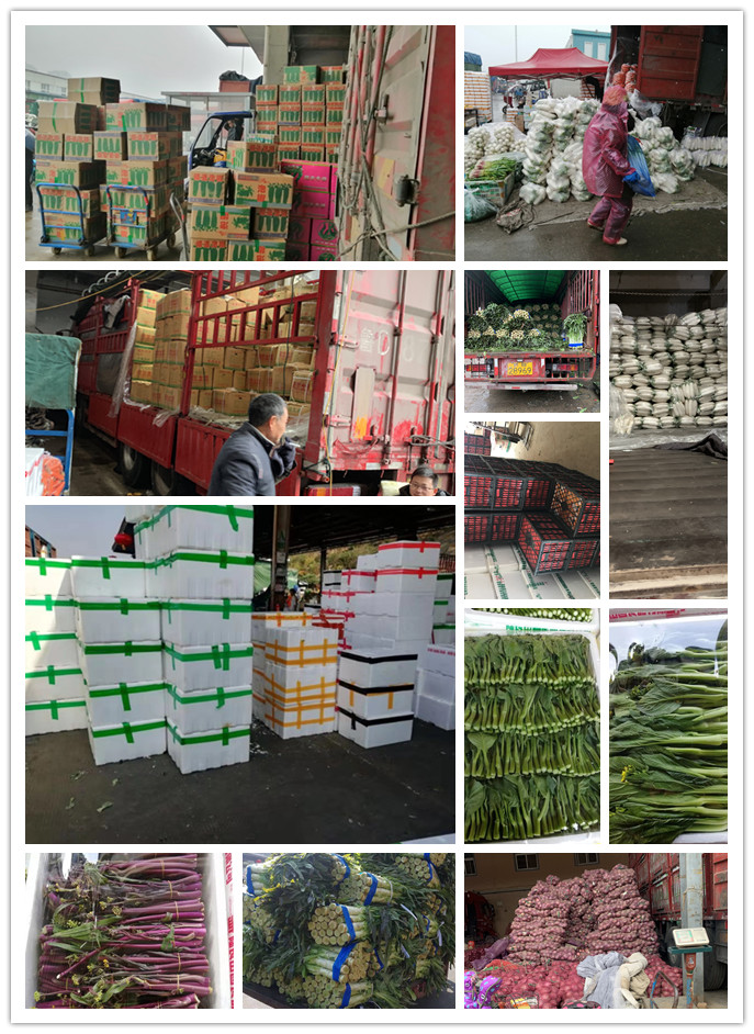 ��ҳ| CA88�����й�Ψһ�ٷ���վ