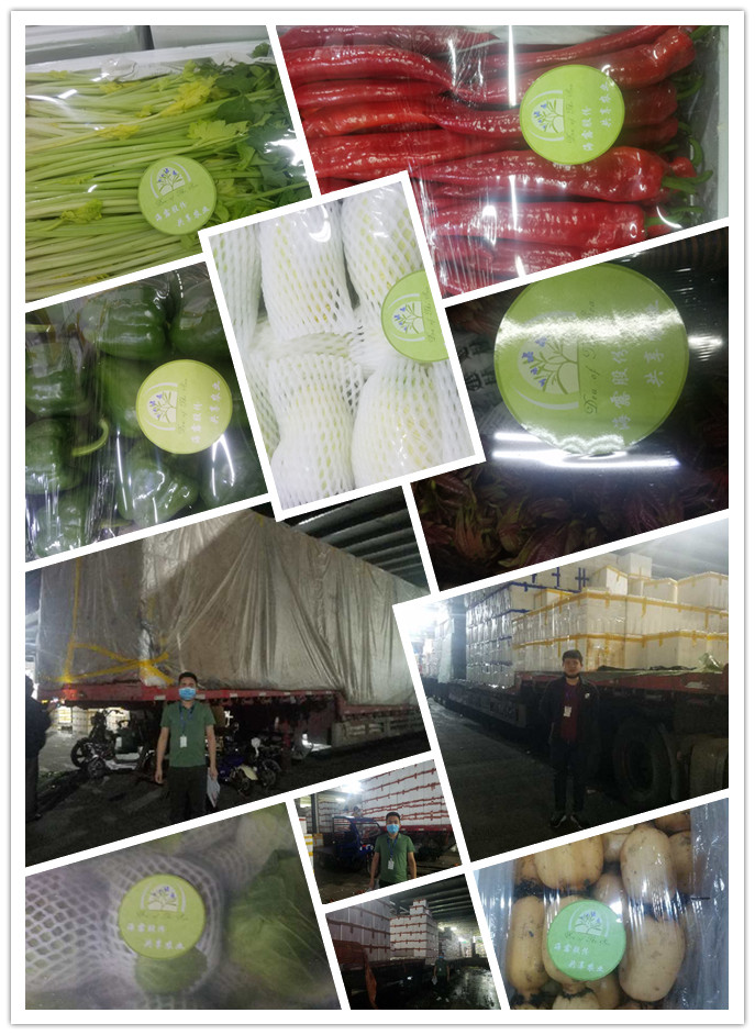 ��ҳ| CA88�����й�Ψһ�ٷ���վ