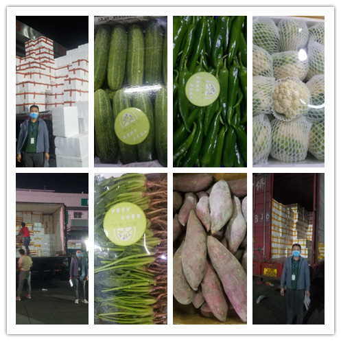 ��ҳ| CA88�����й�Ψһ�ٷ���վ