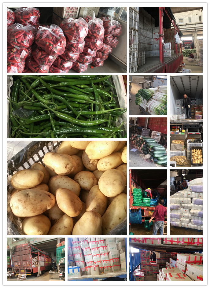 ��ҳ| CA88�����й�Ψһ�ٷ���վ