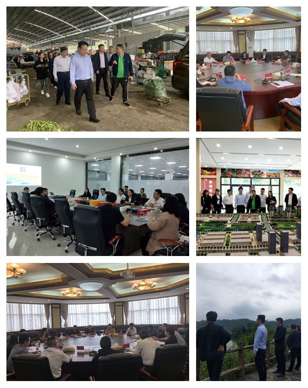 ��ҳ| CA88�����й�Ψһ�ٷ���վ