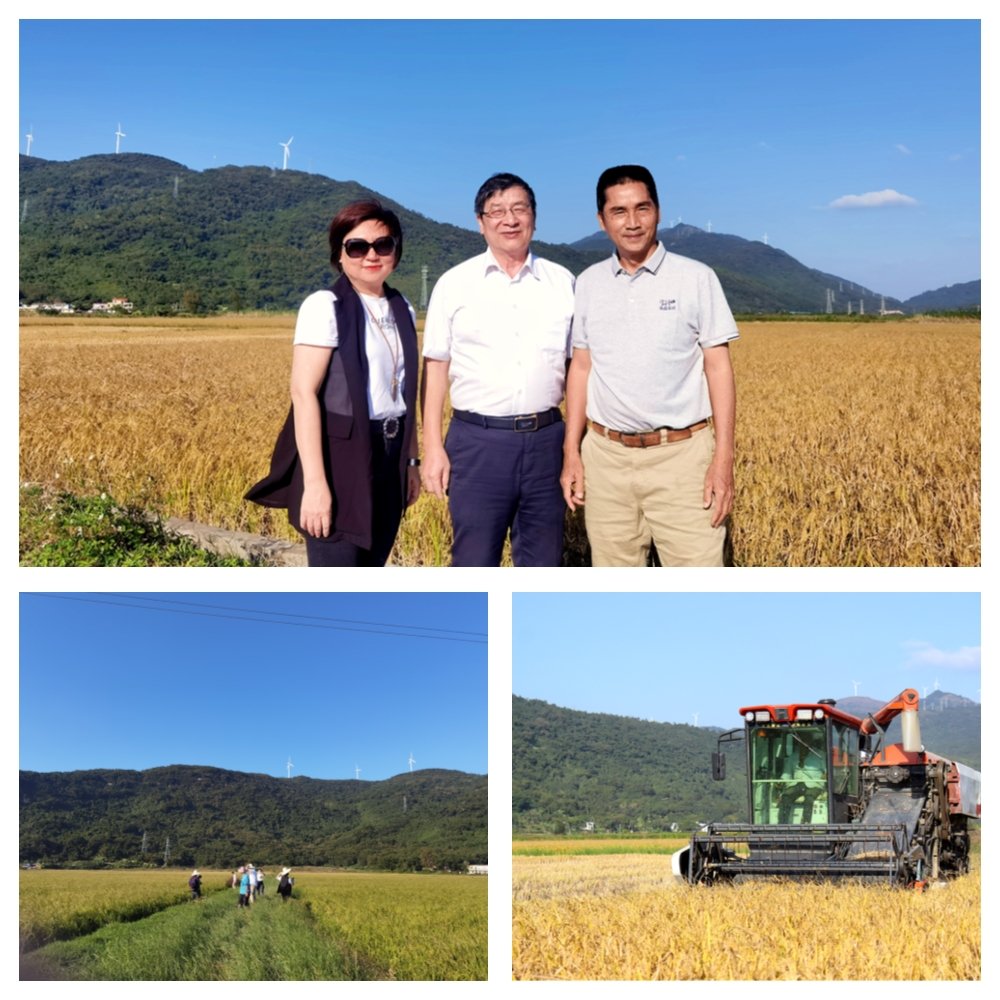 ��ҳ| CA88�����й�Ψһ�ٷ���վ