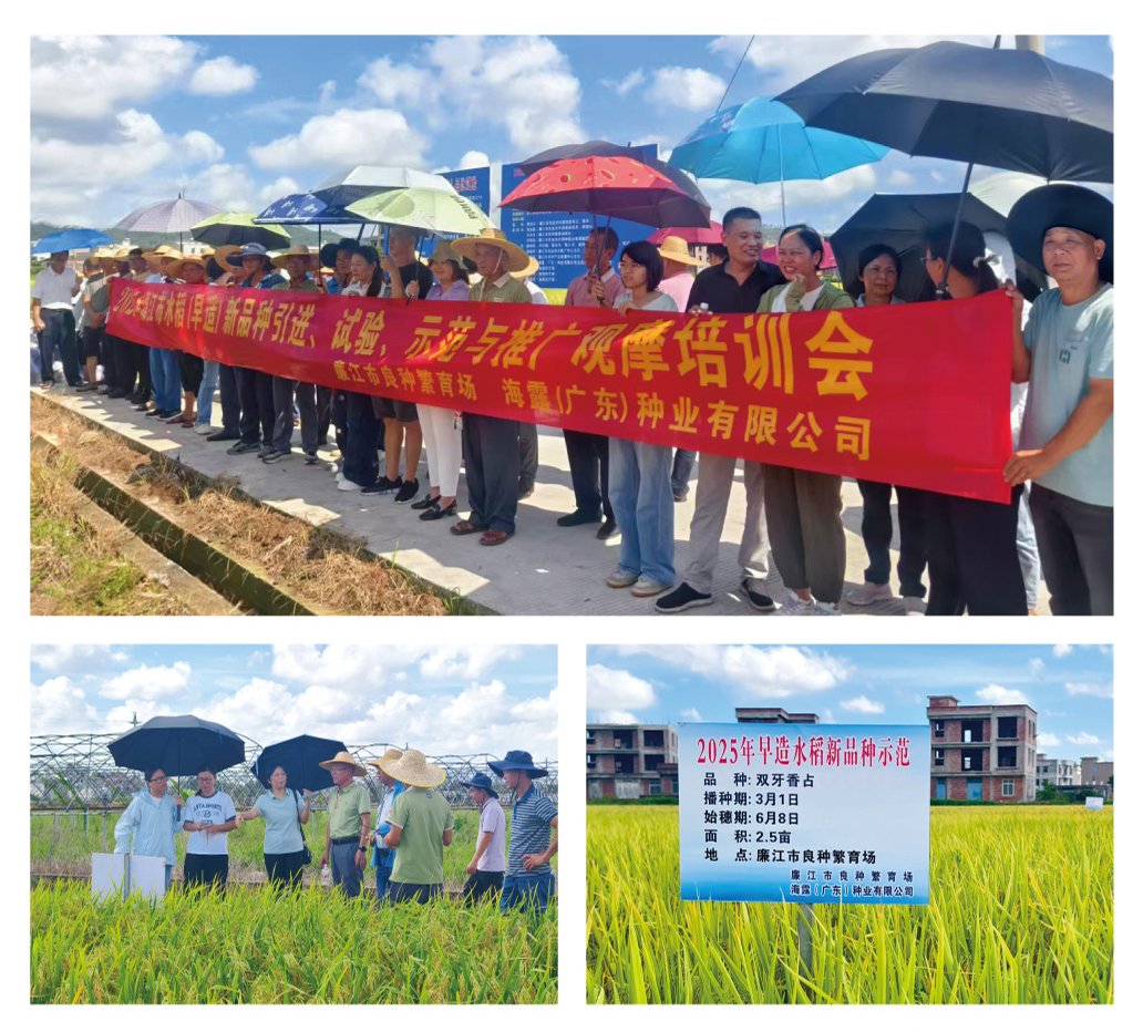 ��ҳ| CA88�����й�Ψһ�ٷ���վ