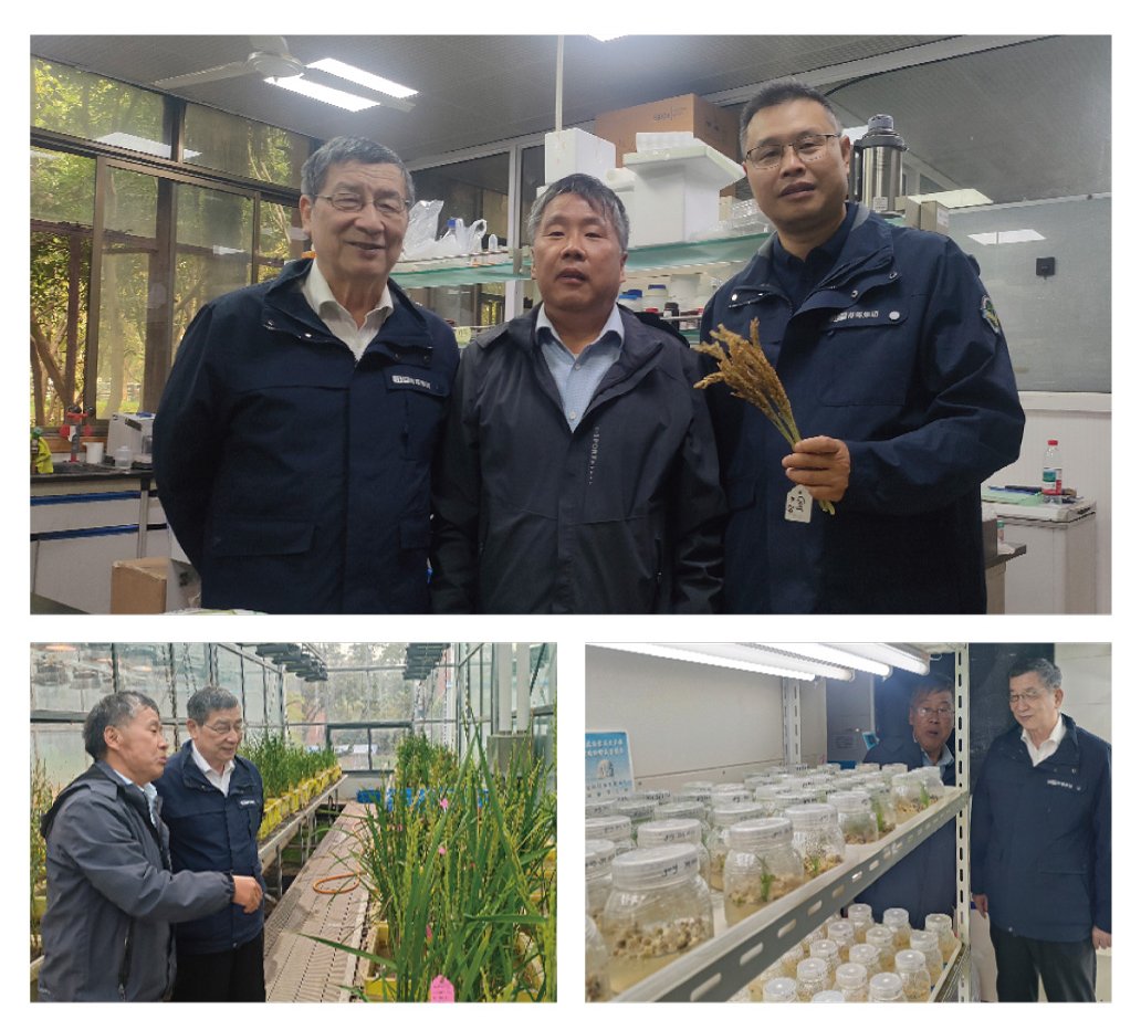 ��ҳ| CA88�����й�Ψһ�ٷ���վ